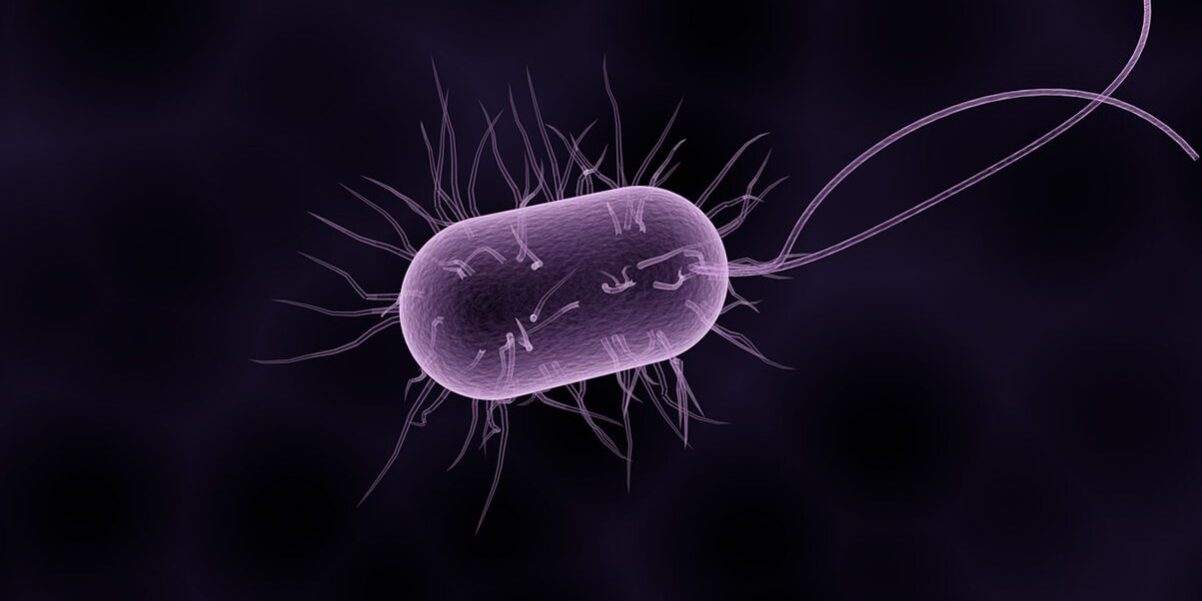 donde hay mas bacterias